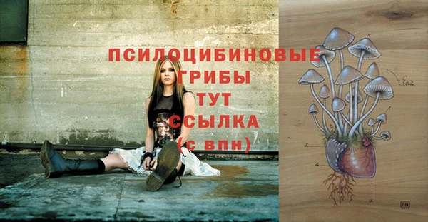 мяу мяу мука Армянск